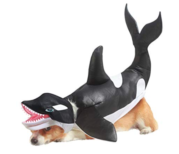 14 Pacific Northwest-Inspired Halloween Costumes for You and Your Pet